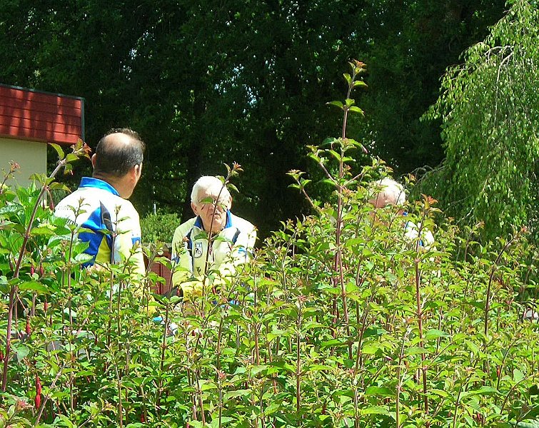 2011-06-16 42 Glomel - Encore un peu de chlorophylle.JPG